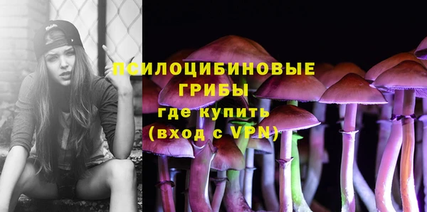 МДМА Лагань