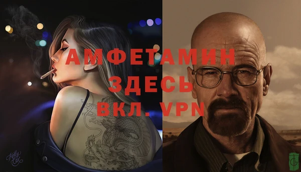 шишки Вязьма