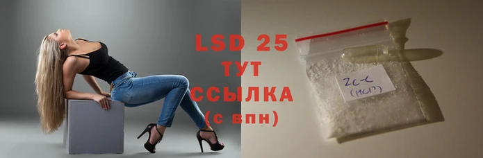 шишки Вязьма
