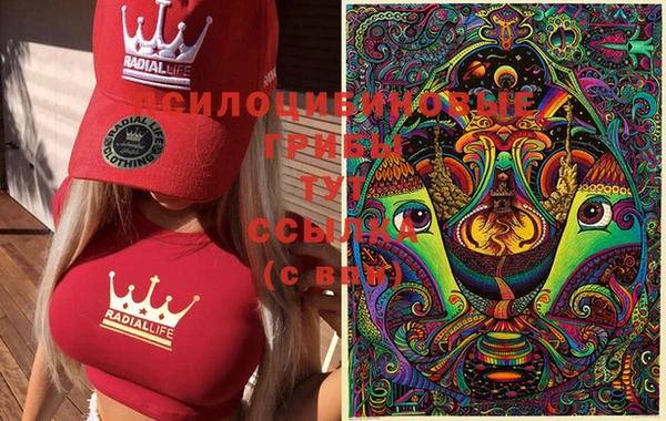 шишки Вязьма