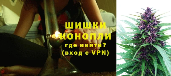 шишки Вязьма