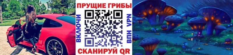 Галлюциногенные грибы Cubensis  даркнет сайт  Заводоуковск 